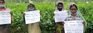 Tea Garden Workers Protest